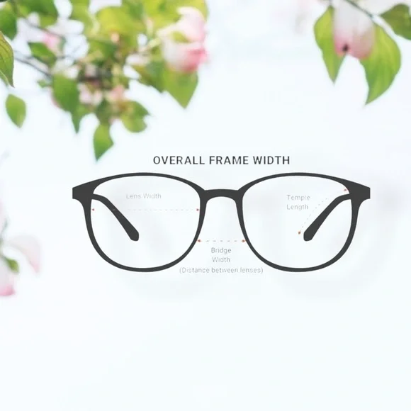 FENDI Sunglasses - Picture 12 of 12